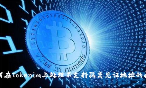 如何在Tokenim上处理不支持隔离见证地址的问题