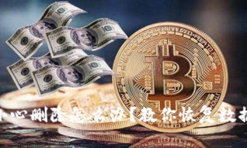 Tokenim不小心删除怎么办？教你恢复数据的有效方法