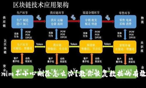 Tokenim不小心删除怎么办？教你恢复数据的有效方法