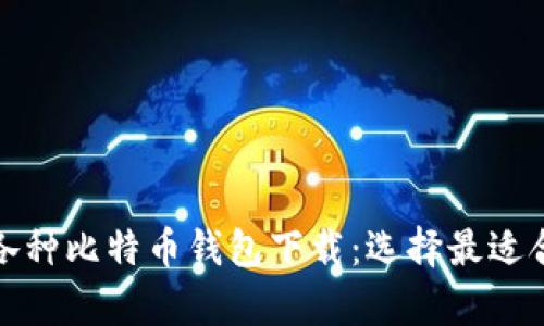 全面解析各种比特币钱包下载：选择最适合你的钱包