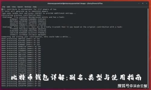 比特币钱包详解：别名、类型与使用指南