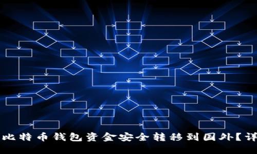 如何将比特币钱包资金安全转移到国外？详尽指南