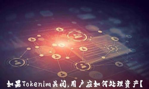 
如果Tokenim关闭，用户应如何处理资产？
