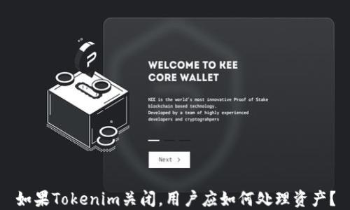 
如果Tokenim关闭，用户应如何处理资产？