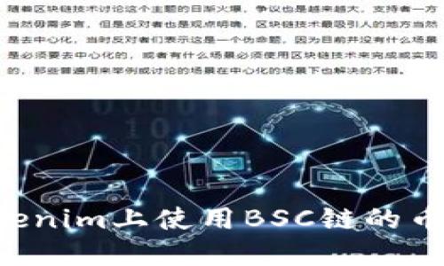 如何在Tokenim上使用BSC链的币：详细指南