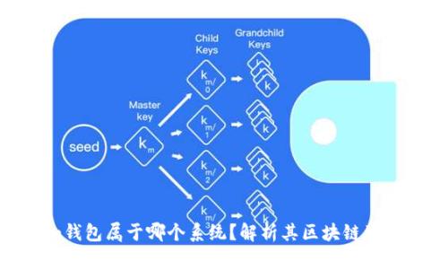 Tokenim钱包属于哪个系统？解析其区块链生态和优势