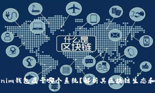 Tokenim钱包属于哪个系统?解析其区块链生态和优势