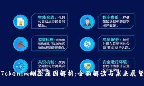 Tokenim删除原因解析：全面解读与未来展望