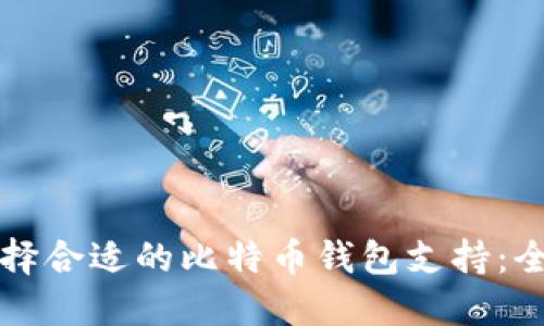 如何选择合适的比特币钱包支持：全面指南