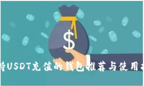 支持USDT充值的钱包推荐与使用指南