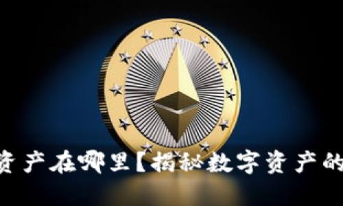 Tokenim总资产在哪里？揭秘数字资产的分布与管理