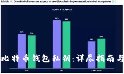 如何查看比特币钱包私钥：详尽指南与安全提示