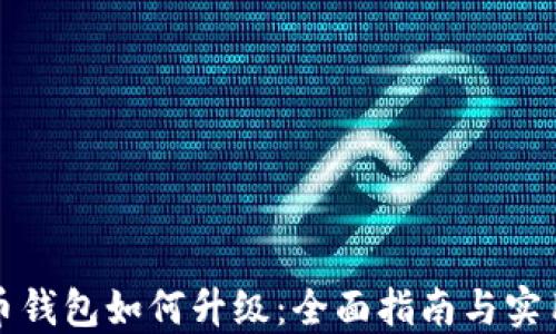 比特币钱包如何升级:全面指南与实用技巧