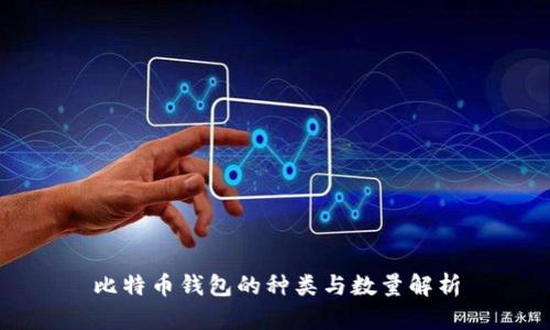 比特币钱包的种类与数量解析