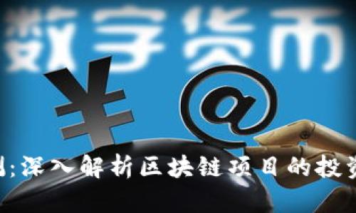 Tokenim评测：深入解析区块链项目的投资潜力与风险
