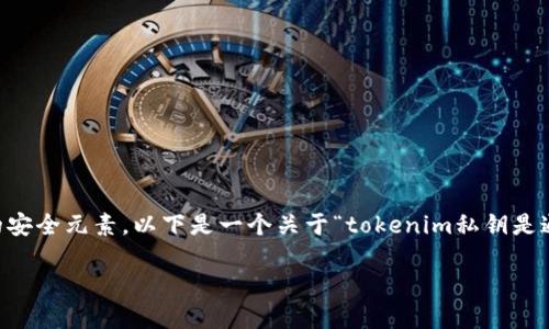 在区块链和加密货币的环境中，私钥是至关重要的安全元素。以下是一个关于“tokenim私钥是通用的吗”的、相关关键词、大纲及详细问题的建议：

Tokenim私钥是否通用？全面解读及安全须知