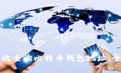 如何有效查询比特币钱包地址：全面指南
