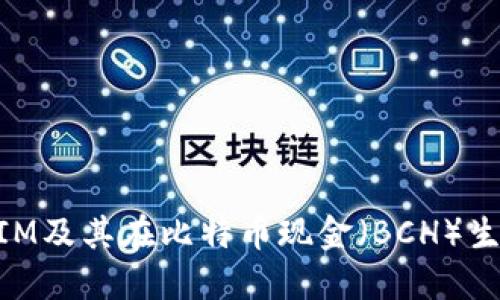 深入了解TokenIM及其在比特币现金（BCH）生态系统中的作用