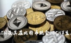 深入了解TokenIM及其在比特