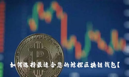 如何选择最适合您的鲸探区块链钱包？