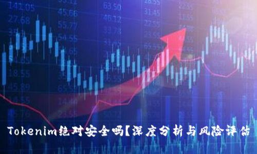 Tokenim绝对安全吗？深度分析与风险评估