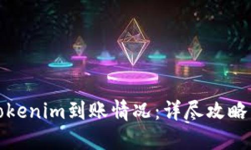 如何查询Tokenim到账情况：详尽攻略与实用技巧