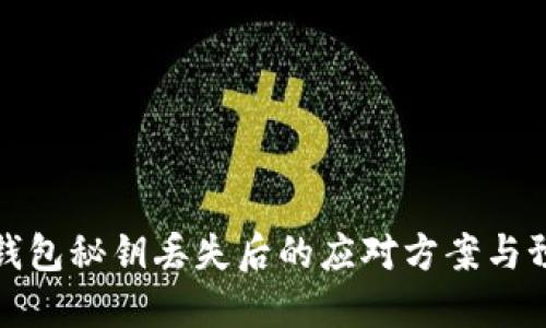 以太坊钱包秘钥丢失后的应对方案与预防措施