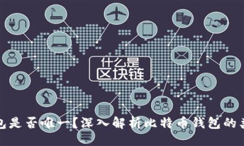 提议的

比特币钱包是否唯一？深入解析比特币钱包的类型与选择