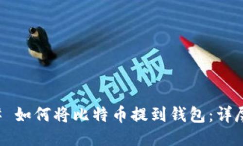 ### 如何将比特币提到钱包：详尽指南