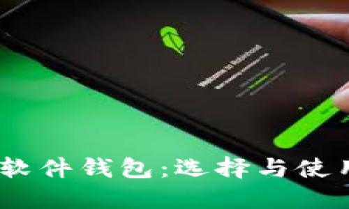 USDT软件钱包：选择与使用指南