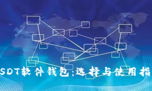 USDT软件钱包：选择与使用指南