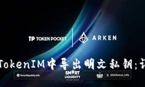 如何在TokenIM中导出明文私钥：详细指南