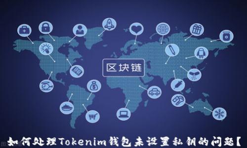 
如何处理Tokenim钱包未设置私钥的问题？