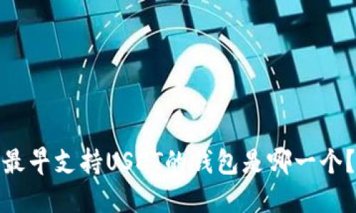 最早支持USDT的钱包是哪一个？
