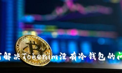 如何解决Tokenim没有冷钱包的问题？