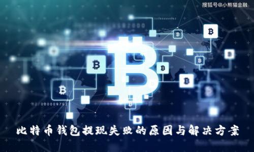 比特币钱包提现失败的原因与解决方案