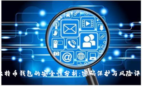 比特币钱包的安全性分析：密码保护与风险评估