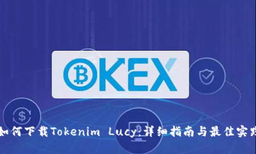 如何下载Tokenim Lucy：详细指南与最佳实践