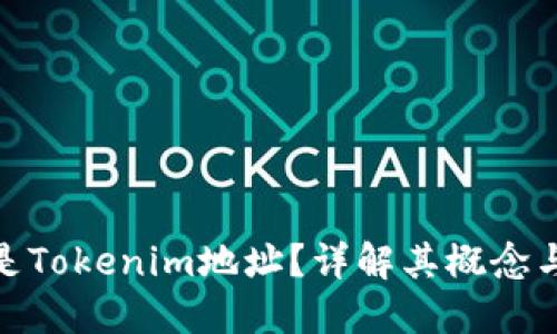 什么是Tokenim地址？详解其概念与用途