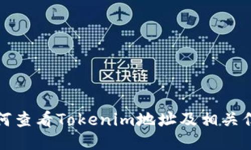 如何查看Tokenim地址及相关信息