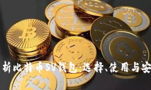 全面解析比特币SV钱包：选择、使用与安全指南
