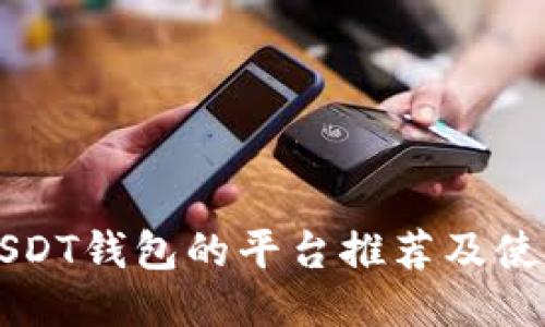 支持USDT钱包的平台推荐及使用指南