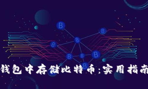 如何在苹果钱包中存储比特币：实用指南与注意事项