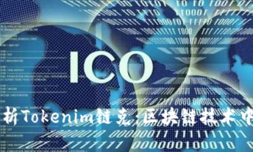 深入解析Tokenim链克：区块链技术中的新星