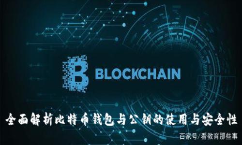 全面解析比特币钱包与公钥的使用与安全性