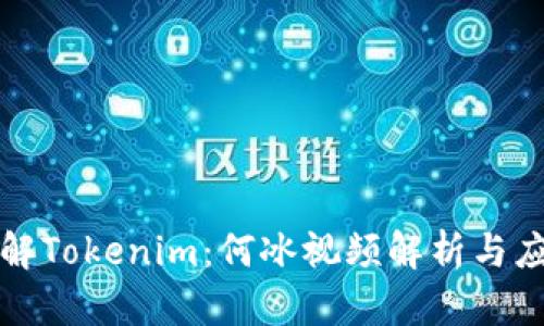 深入了解Tokenim：何冰视频解析与应用前景