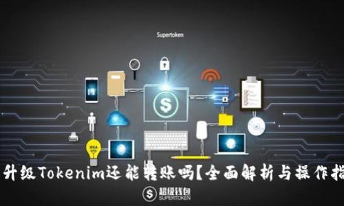 不升级Tokenim还能转账吗？全面解析与操作指南