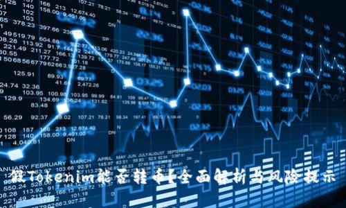 假Tokenim能否转币？全面解析与风险提示