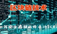 Tokenim：如何安全存储比特