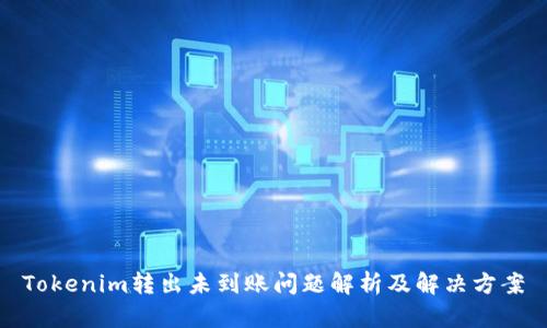 Tokenim转出未到账问题解析及解决方案
